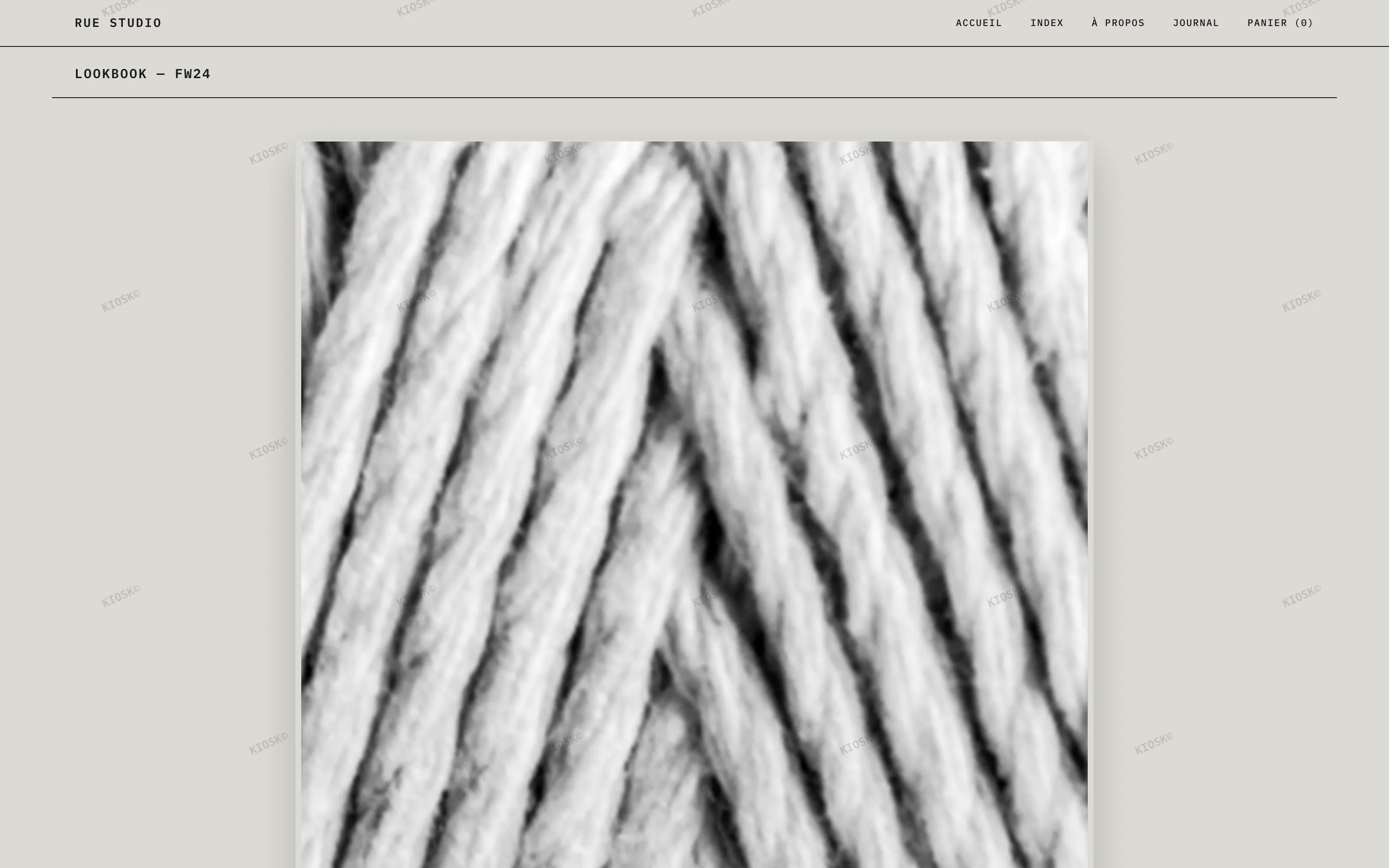 ARCHIVE — lookbook